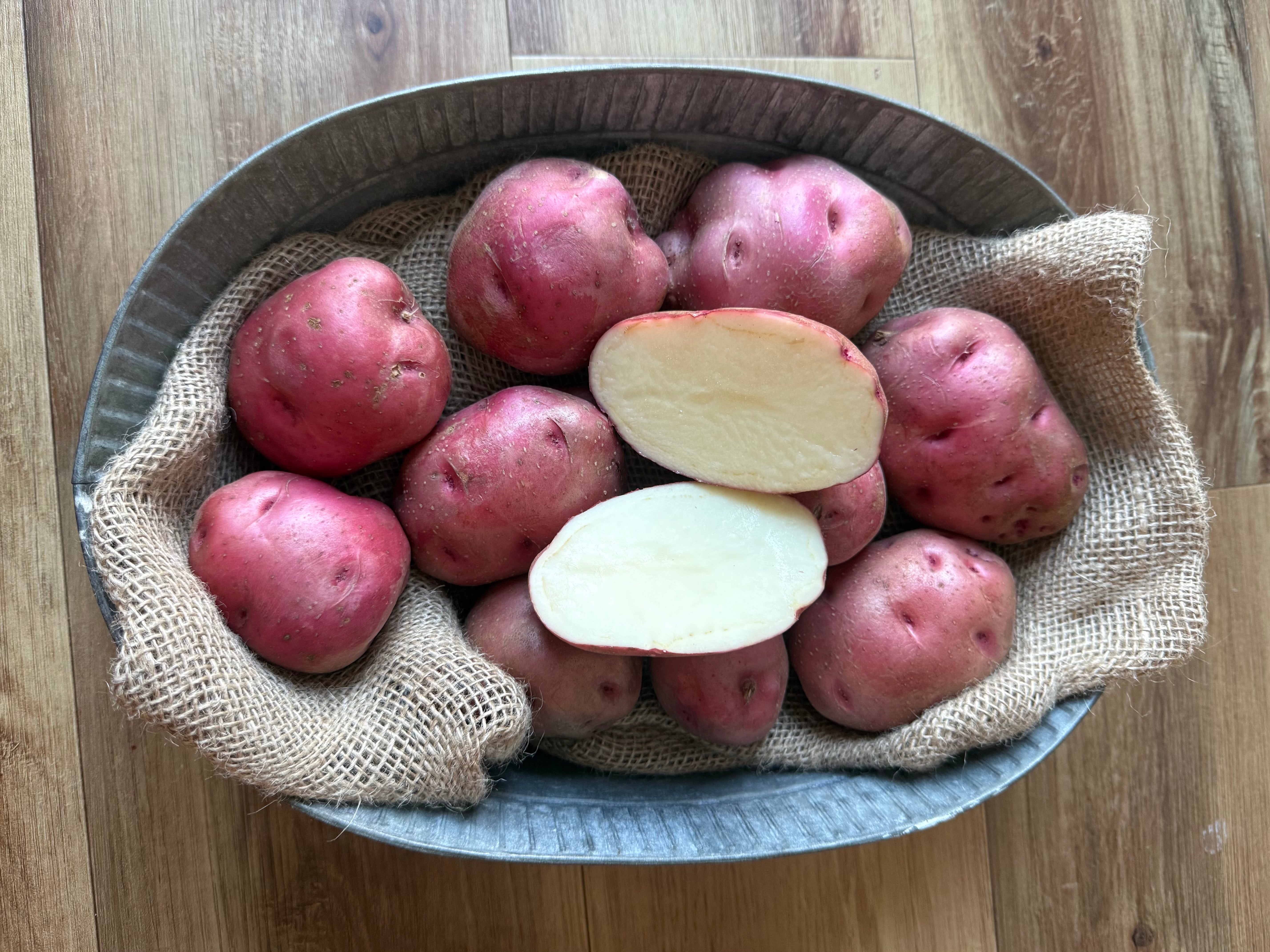 Potato　 赤 緑 銀　3点 Potato 赤 緑 銀 3点 Potato 赤 緑 銀 3点 Red Pontiac Seed Potatoes
