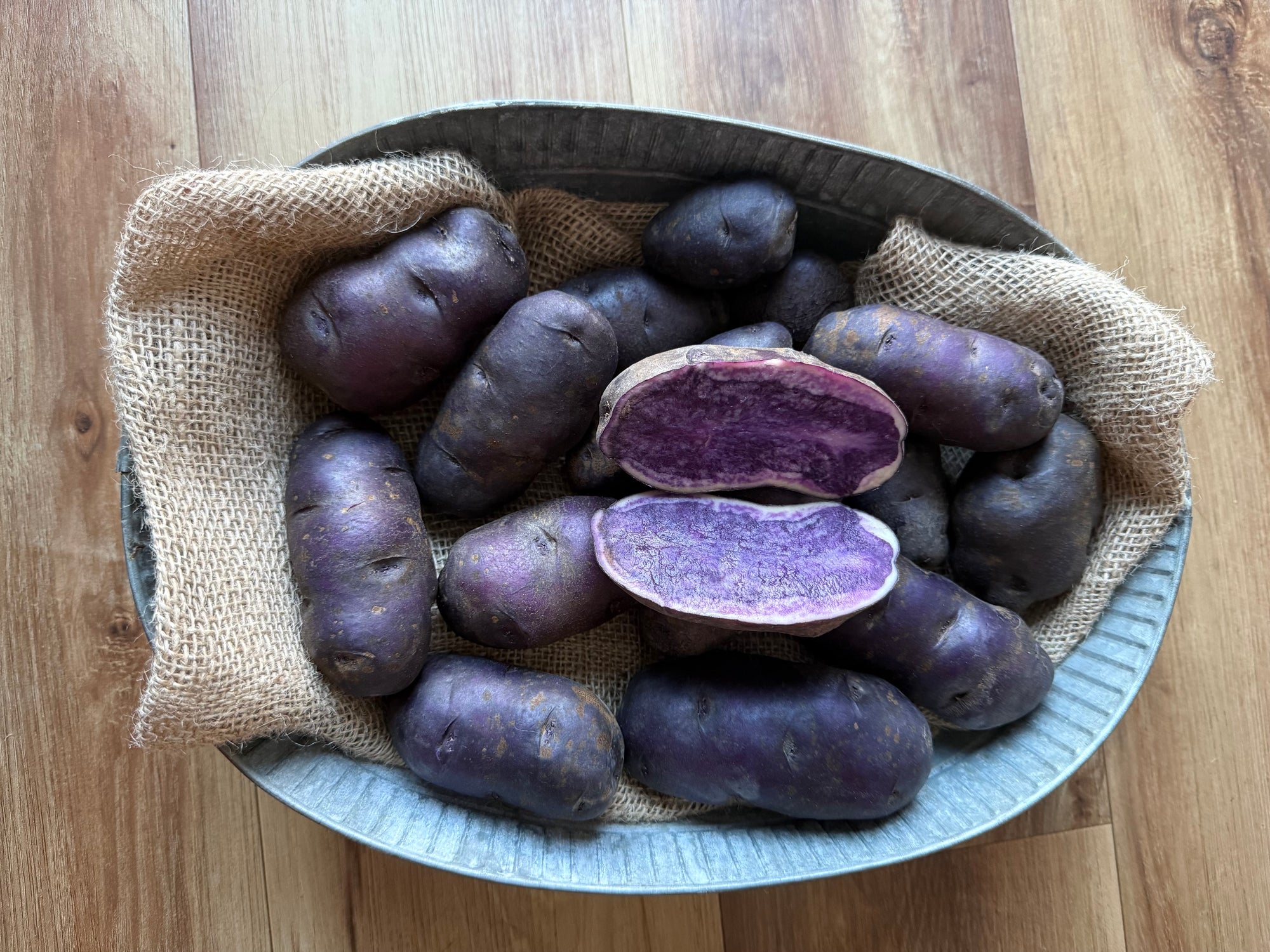 All Blue Seed Potatoes