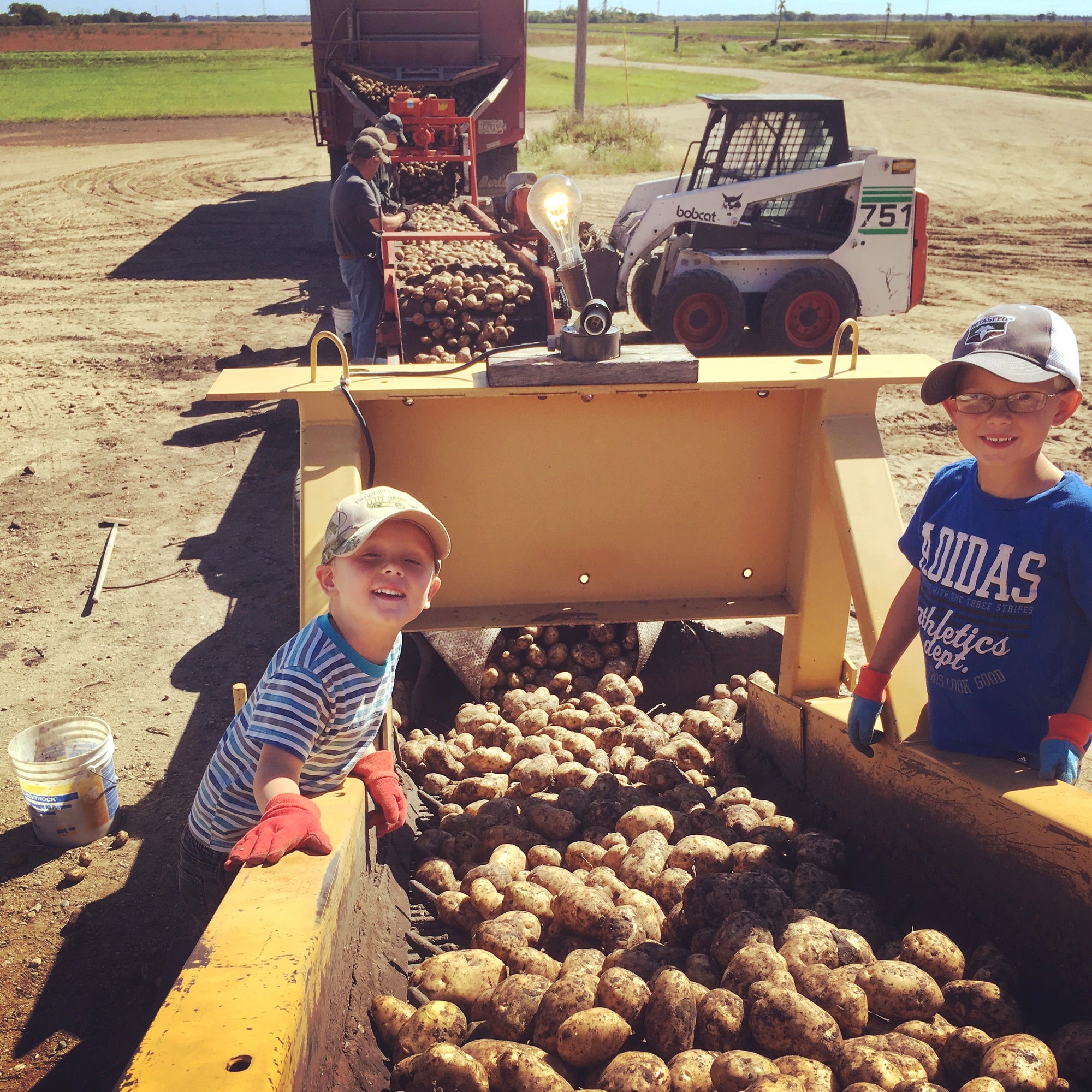 Family potato farm in Barnesville Minnesota