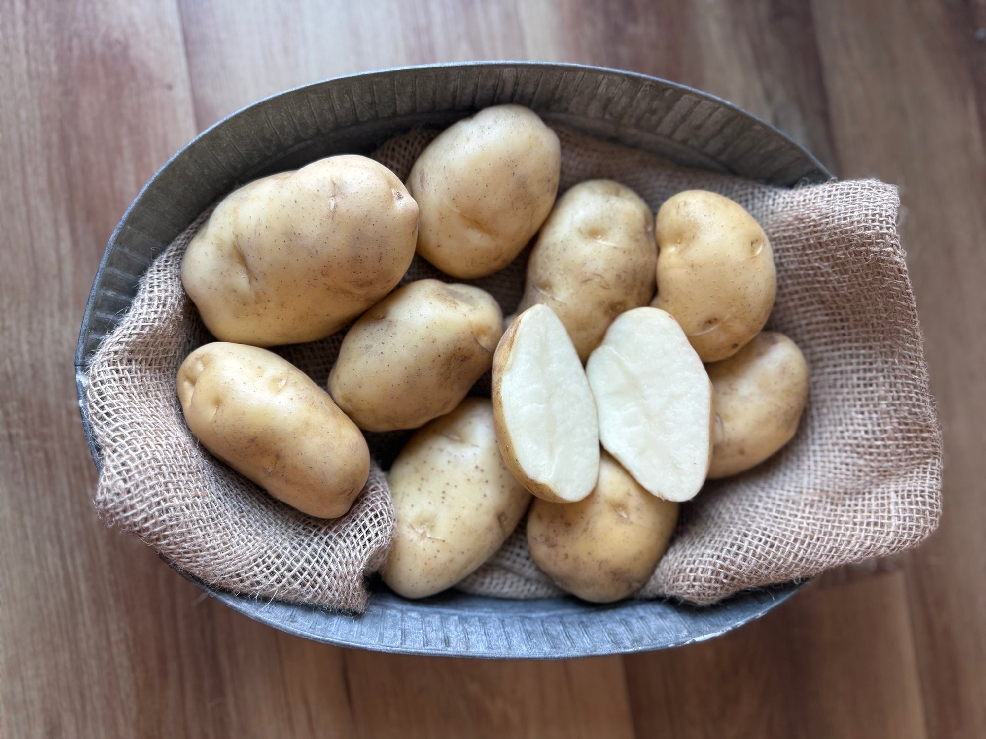 Kennebec Seed Potatoes