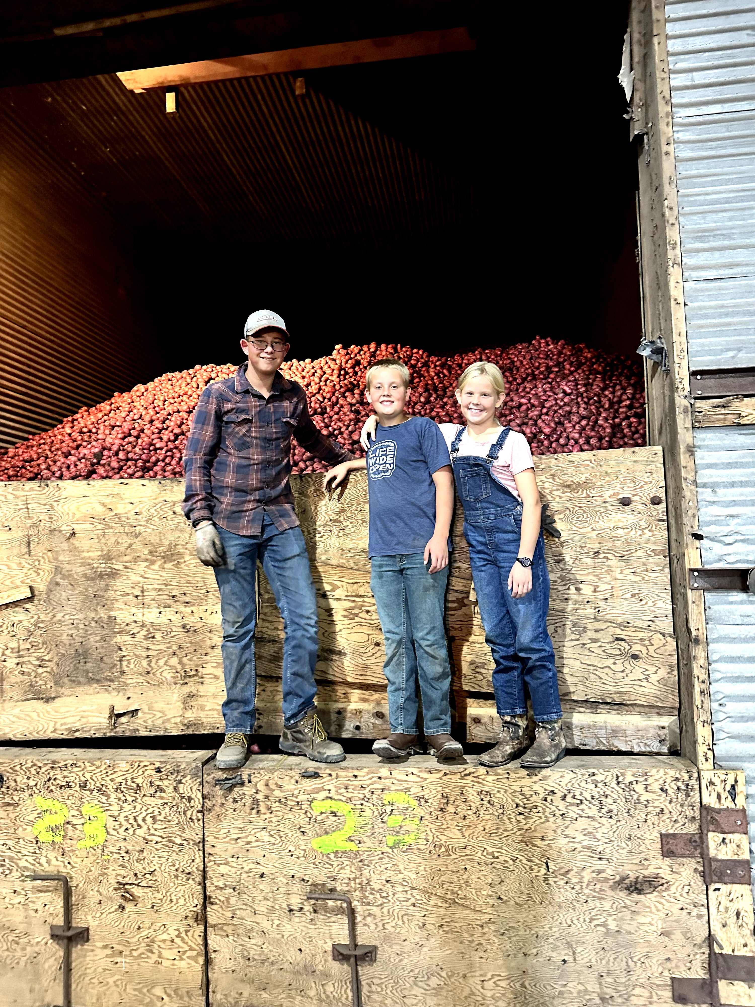 Family-owned potato farm in Minnesota