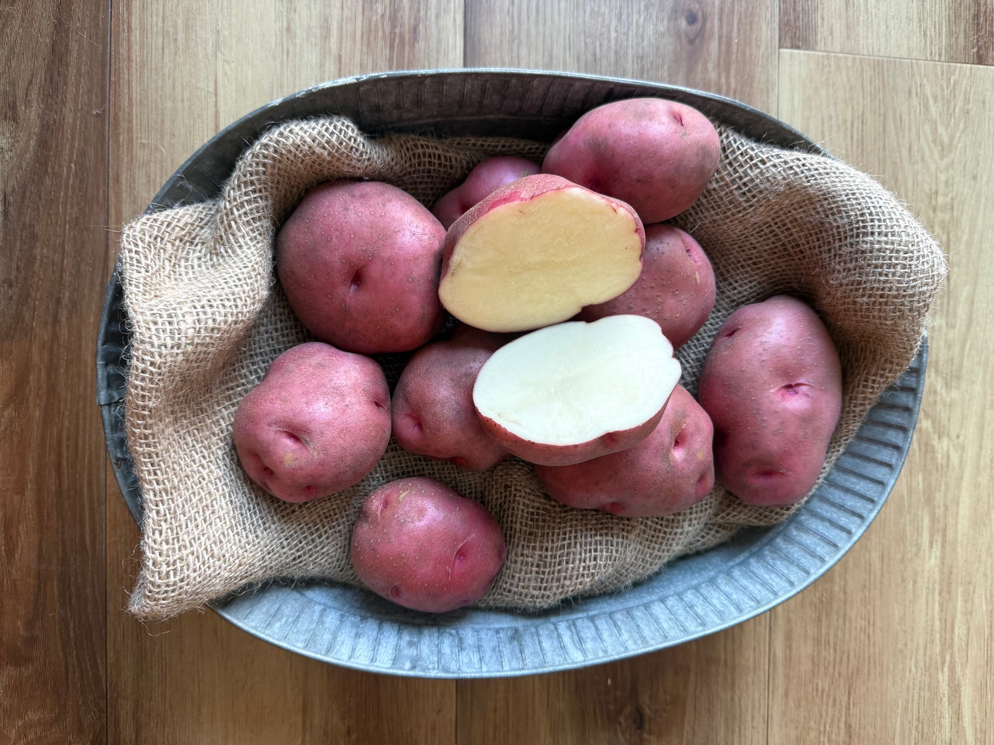Red Lasoda Seed Potatoes