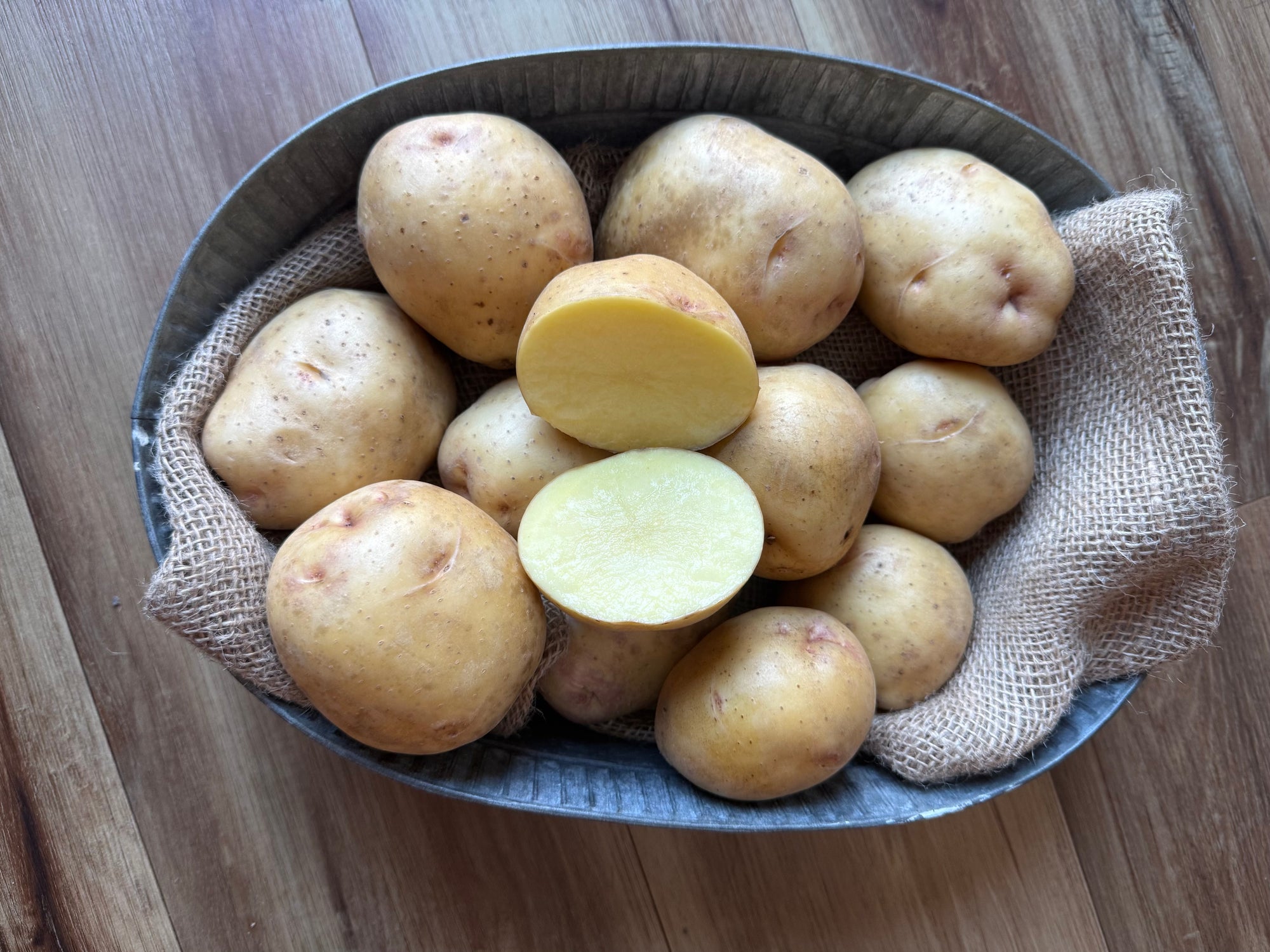 Yukon Gold Seed Potatoes