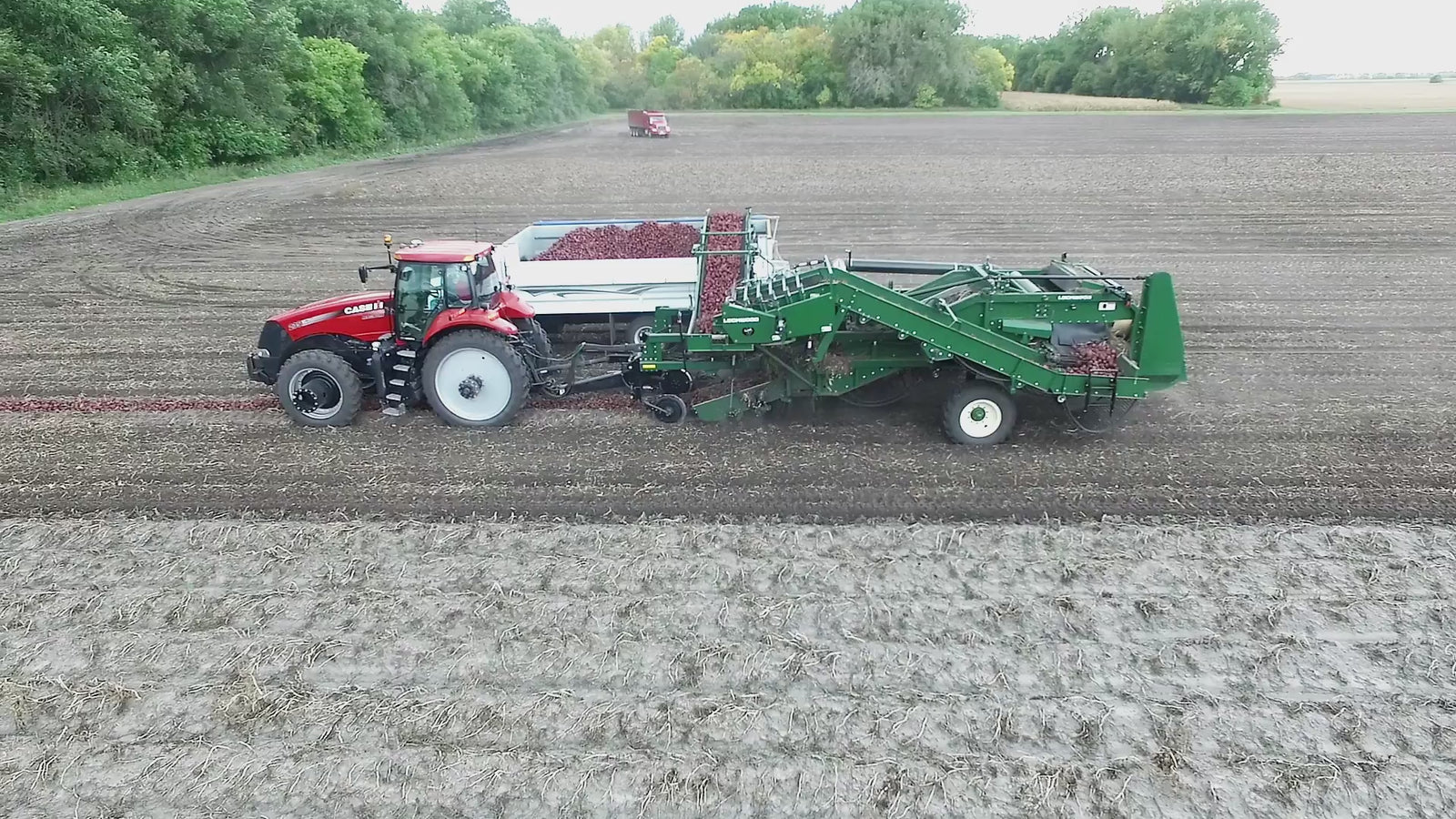 Family potato farm in Barnesville Minnesota